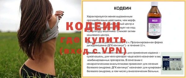 эйфоретик Арсеньев